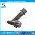 12 Point Flange Bolts